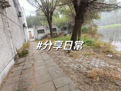 -白洋淀景区