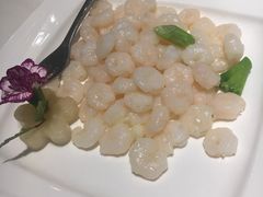 -国际青年会议酒店-苏莱斯餐厅