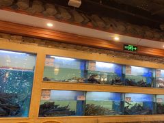 -围龙屋客家食府(福田店)