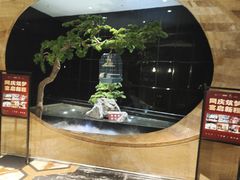 -同庆楼(天鹅湖万达店)