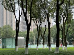 -重庆市江北嘴中央商务区中央公园