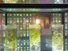 -广东中医药博物馆