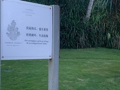 -三亚太阳湾柏悦酒店