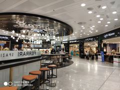 -米兰马尔彭萨国际机场