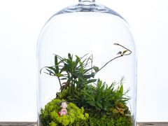 -荷兰布尔玛国际花艺学院