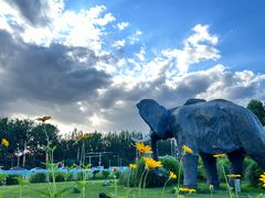 -北京野生动物园