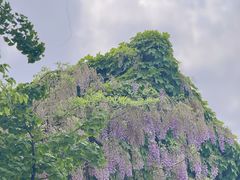 -老门东历史文化街区