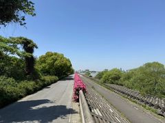 -上海滨江森林公园