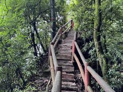 -青城山
