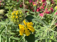 -上海植物园-4号门售票处