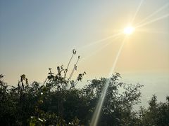 -杭州半山国家森林公园