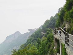 -少华山国家森林公园