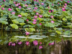 -苏淮景·苏闽融创菜·海鲜(原空港井河轩店)