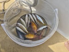 -铭轩中餐厅·海南菜·粤菜(亚龙湾瑞吉店)