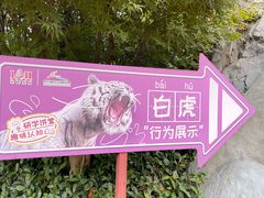 -杭州野生动物世界