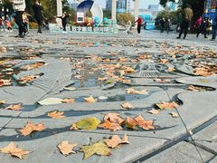 -中国京杭大运河博物馆