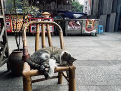 -悟饮门市景店