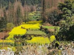 -樱桃山旅游景区