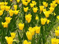 -长春公园(普阳街道)