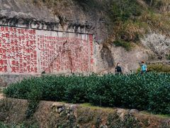 -十九峰景区-倒脱靴