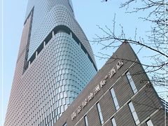 -紫峰大厦