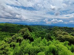 -沐川竹海旅游景区