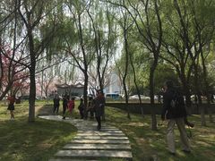 -西北湖绿化广场