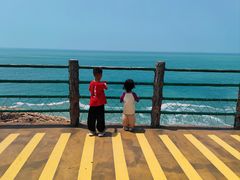 -广东惠东海龟国家级自然保护区