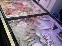 -长平老姿娘夜粥(平东一街店)