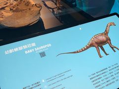 -香港科学馆