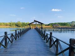 -溱湖国家湿地公园