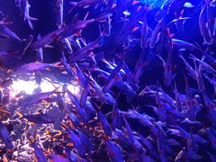 -成都浩海立方海洋公园