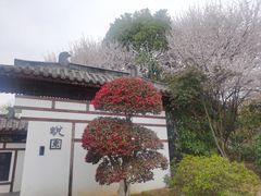 -武汉园博园(武汉自然博物馆)