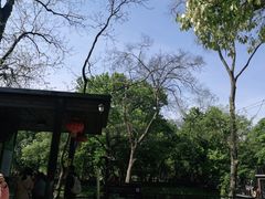 -WeLope紫金山探险公园