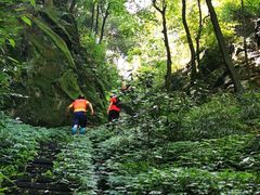 -缙云山景区