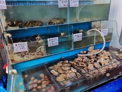 水产区-云南巷海鲜大咖·可加工海鲜