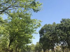 -尚贤河湿地