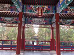 -武汉园博园(武汉自然博物馆)