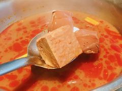 -鼎王麻辣锅(七贤店)