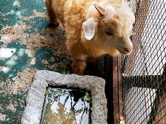 -渔掌门红房子柴火灶(连鞍线店)