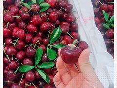 -叶氏兄弟(大连奥特莱斯店)