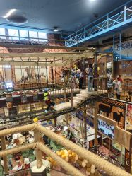 -卡通尼·Safari非洲探索乐园·生日会(金桥国际商业广场店)