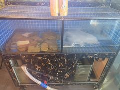 -回·龙虾铺·盆盆蟹·烧烤大排档(回龙观店)