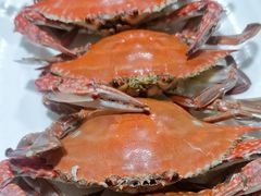 -山海经·海边人家 海鲜新青岛菜(扬州路店)