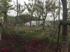 -上海浦江郊野公园-2号停车场