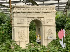 -南宫五洲植物乐园