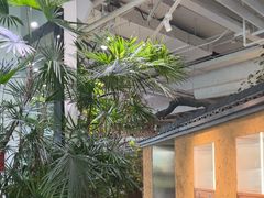 -大视光学•LINDBERG林德伯格•全球手工眼镜集合店(王府井店)