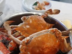 -半岛听涛蒸汽海鲜自助(K11店)