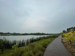 -东郊湿地公园