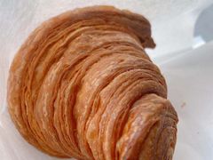 -月枫堂(长春这有山店)